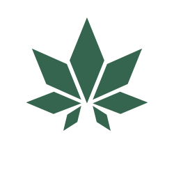 CSC Grünschnitt e.V.